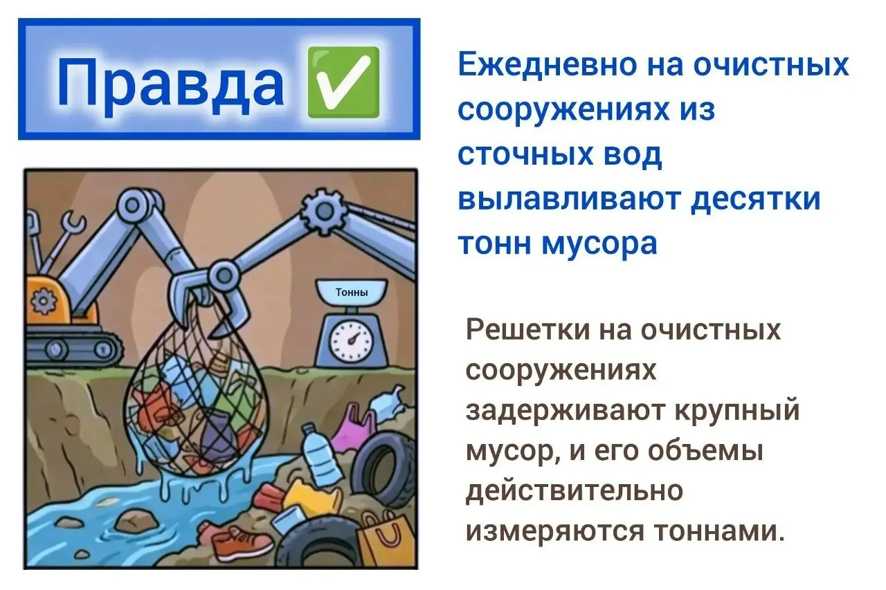 🎉 Спасибо всем, кто участвовал в интерактиве «Правда или миф»! 🎉
Вы отлично справились – было много точных ответов, а некоторые факты казались такими невероятными, что легко могли сбить с толку! 😎
Пор... | Сетка — социальная сеть от hh.ru