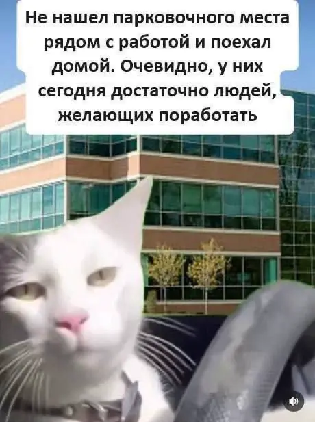 Подборка мемов про рабочие процессы. Сохраняйте, чтобы поделиться с коллегами 😜 | Сетка — социальная сеть от hh.ru