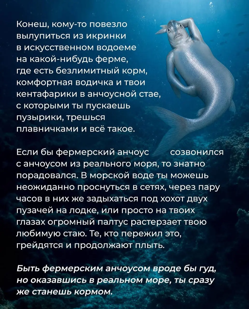 Последствия атак БПЛА на склады маркетплейсов затронули и довольно популярные медийные бренды. Так, например, владелец «Мармеладыча» заявил, что его компания потеряла на этом 40 миллионов рублей | Сетка — социальная сеть от hh.ru