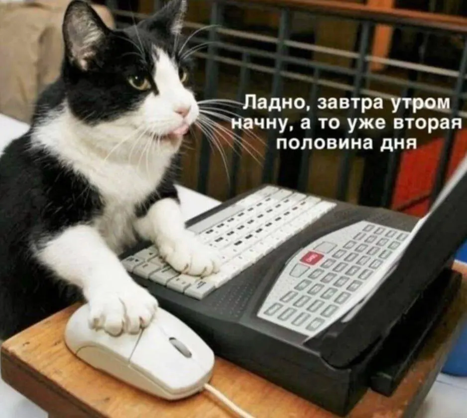 #работа #hr #hrюмор | Сетка — социальная сеть от hh.ru