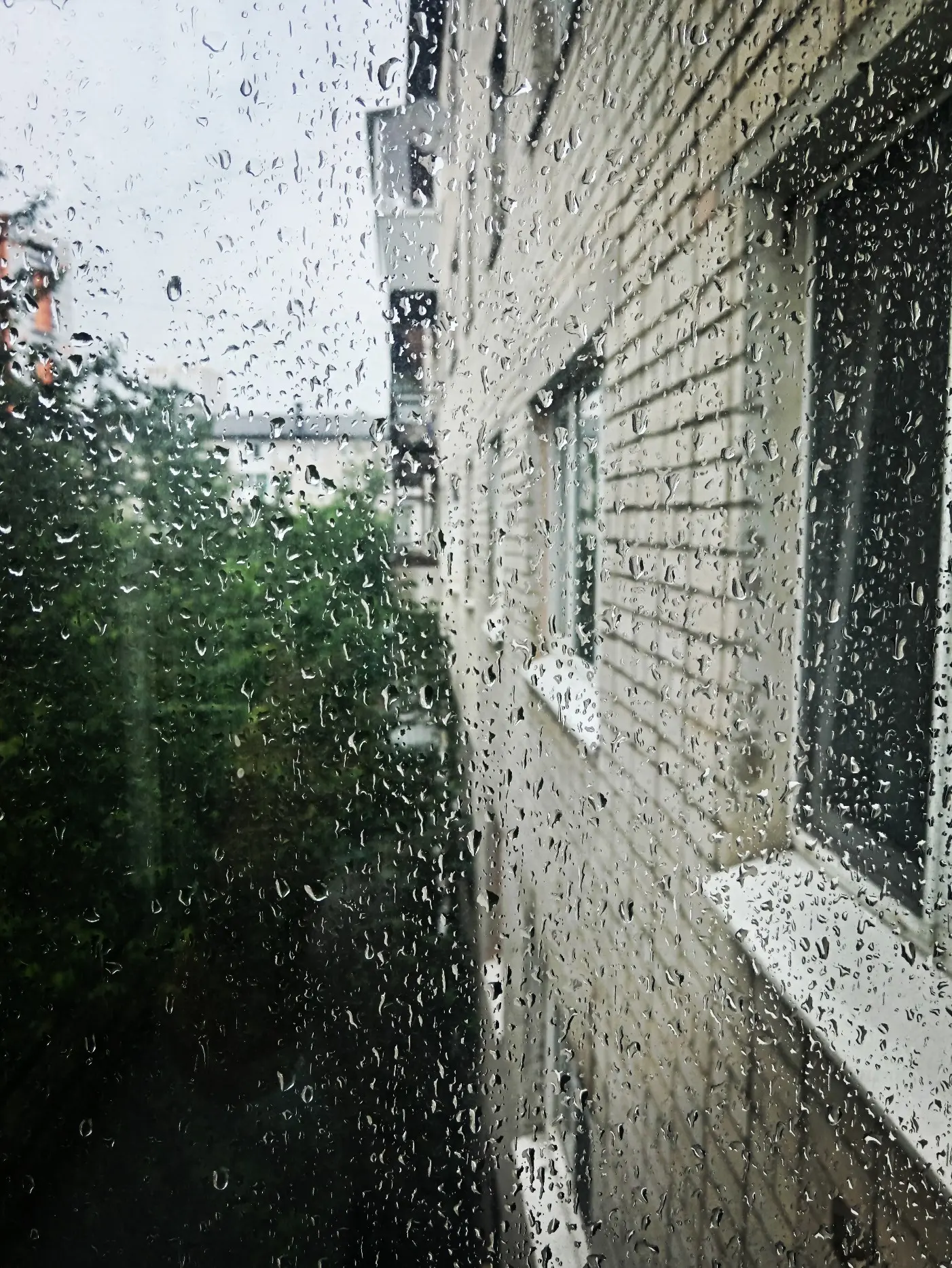 Кошеварова Анастасия