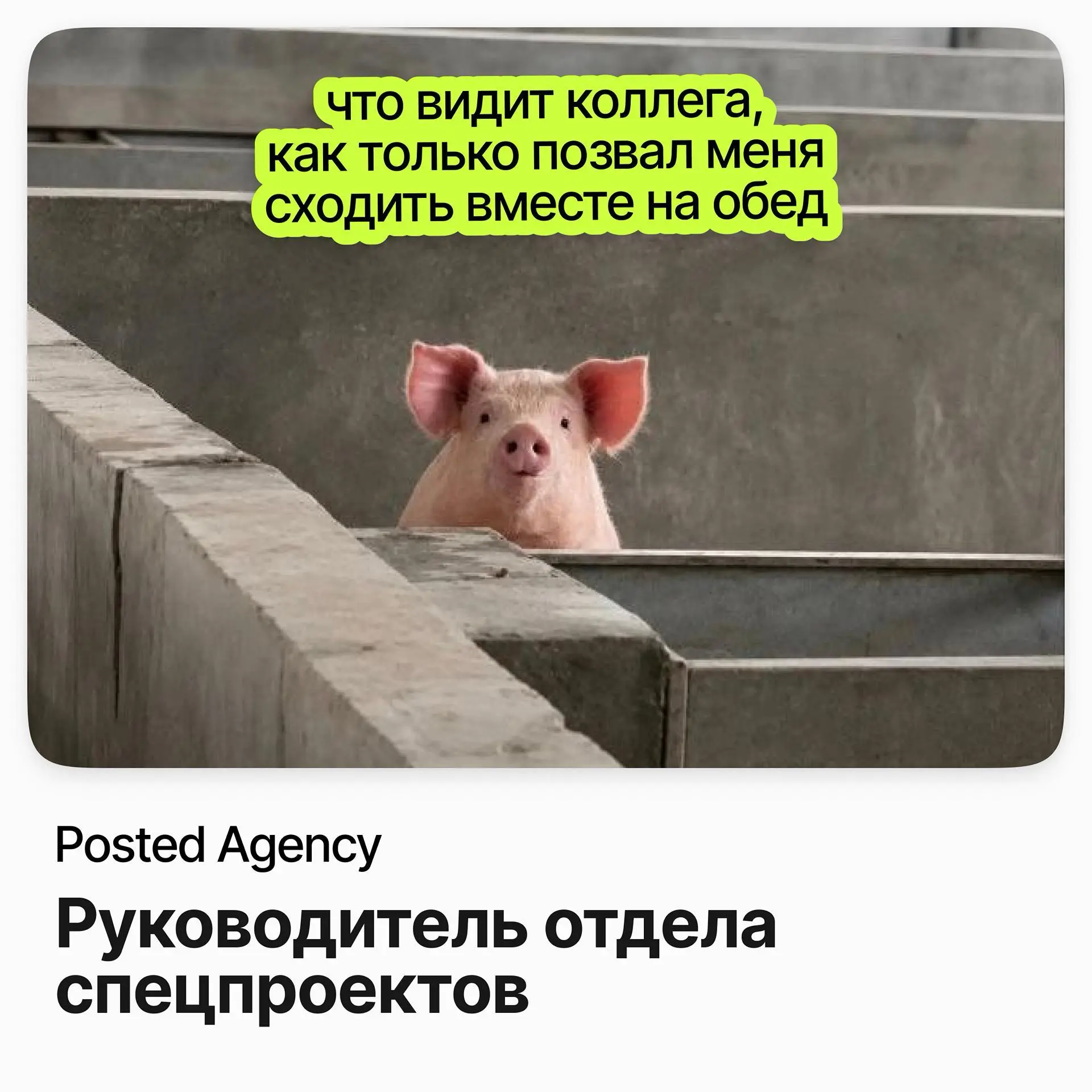 📺 Руководитель отдела спецпроектов / Posted Agency
Posted Agency — сеть Telegram-каналов с многомиллионной аудиторией и коммерческими спецпроектами для крупных брендов | Сетка — социальная сеть от hh.ru