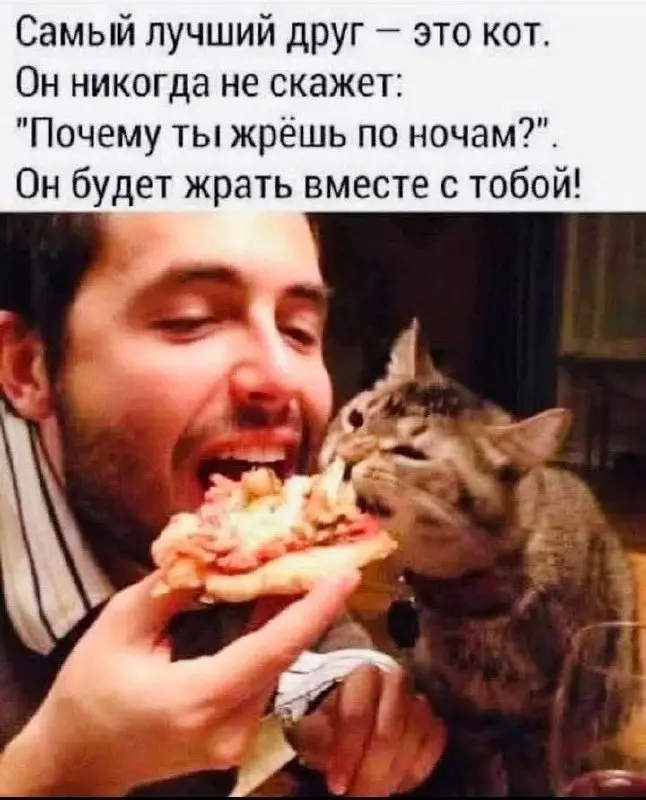 Настоящая любовь ❤️
БЛОГ В ТГ / БЛОГ В MAX
#Юмор #Коты
В этом посте были ссылки, но мы их удалили по правилам Сетки | Сетка — социальная сеть от hh.ru
