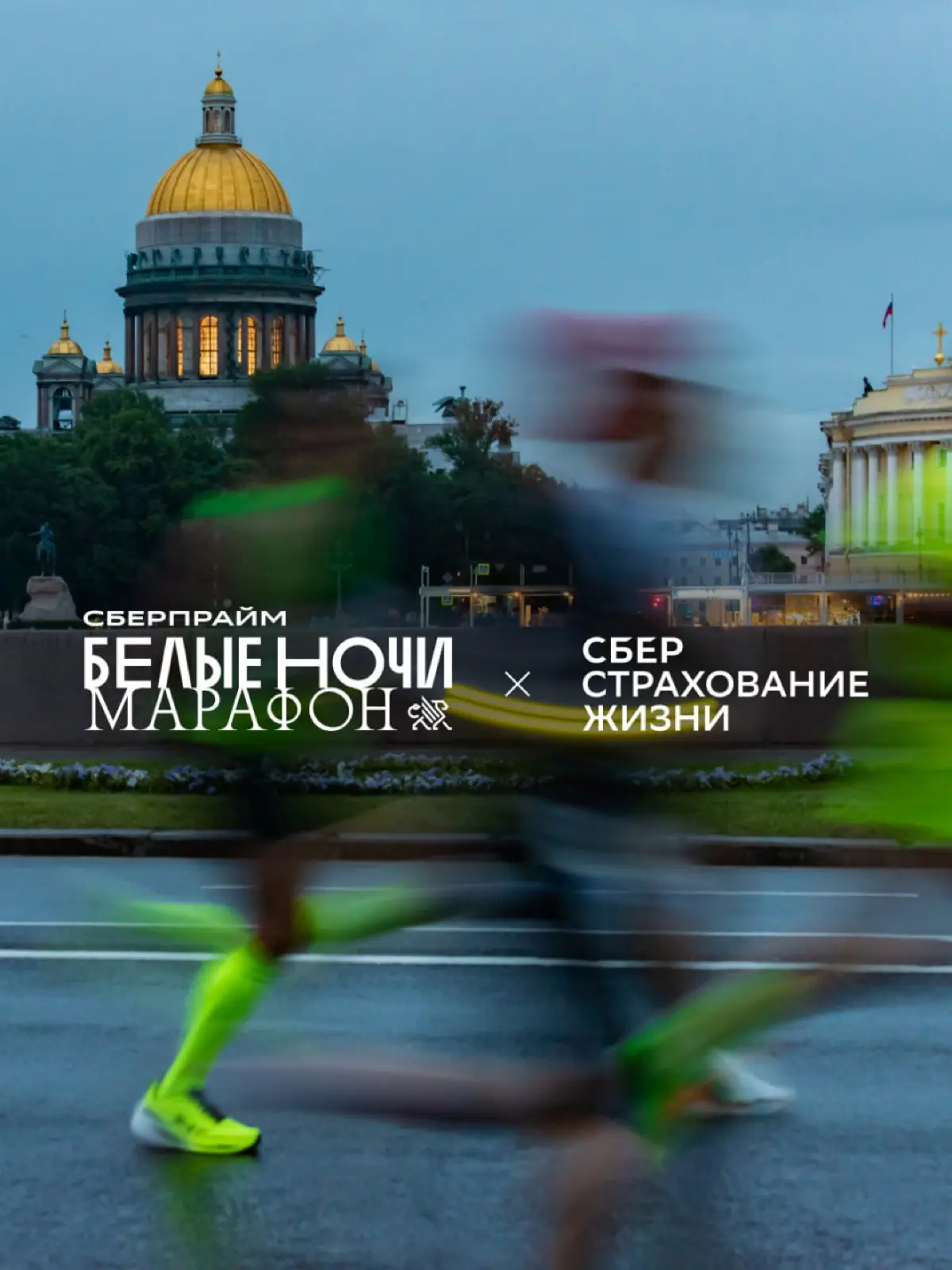 Когда меня просят показать портфолио — я открываю ленту 2026 | Сетка — социальная сеть от hh.ru
