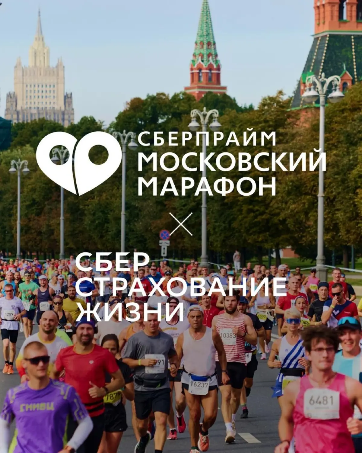 Когда меня просят показать портфолио — я открываю ленту 2026 | Сетка — социальная сеть от hh.ru