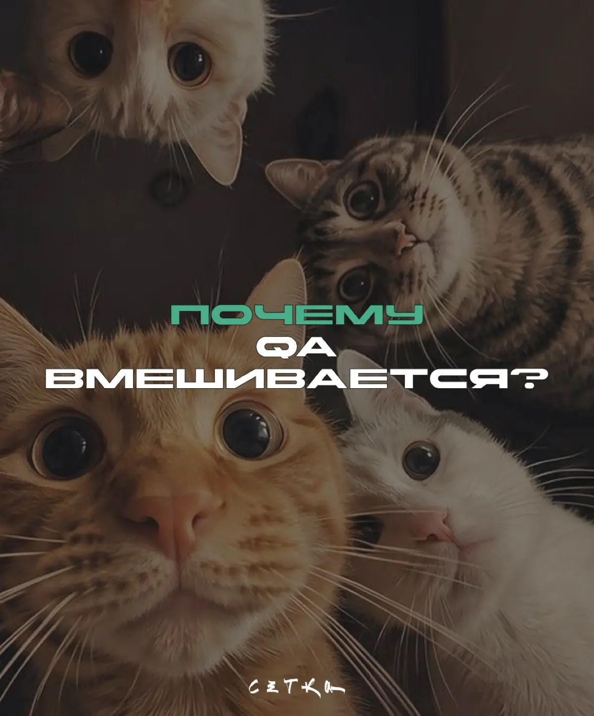 Зачем QA лезет в процесс разработки? | Сетка — социальная сеть от hh.ru