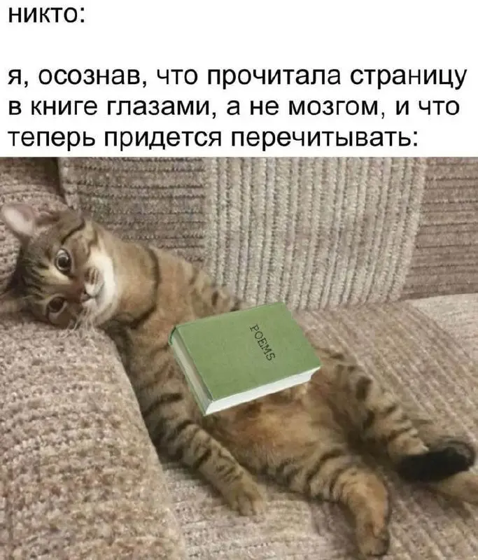 #юмор | Сетка — социальная сеть от hh.ru