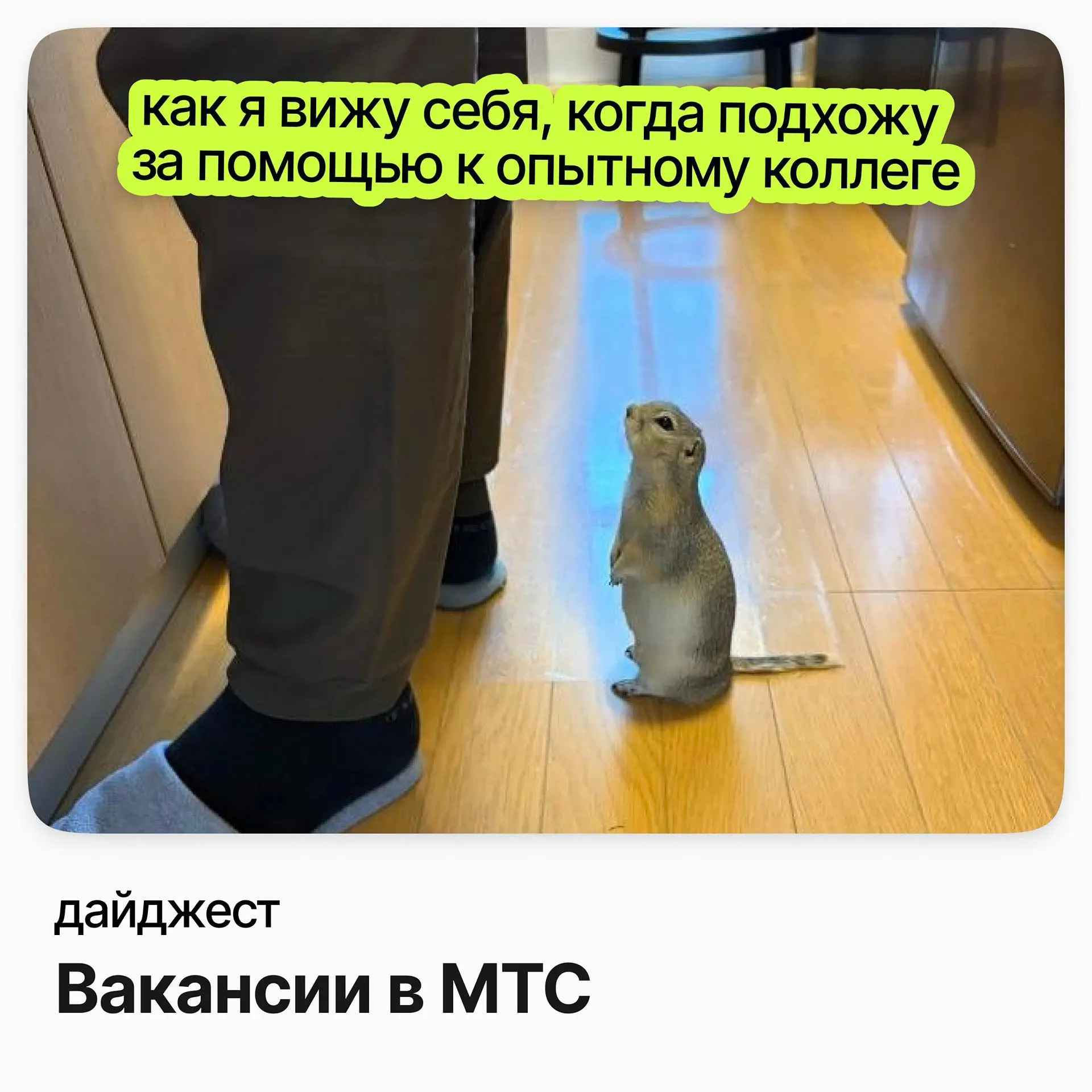 💼💼💼Вакансии в МТС
МТС — ведущий оператор связи в России, развивают телеком нового поколения: объединяют связь, цифровые и финансовые сервисы с возможностями ИИ и задают новые стандарты пользовательско... | Сетка — социальная сеть от hh.ru