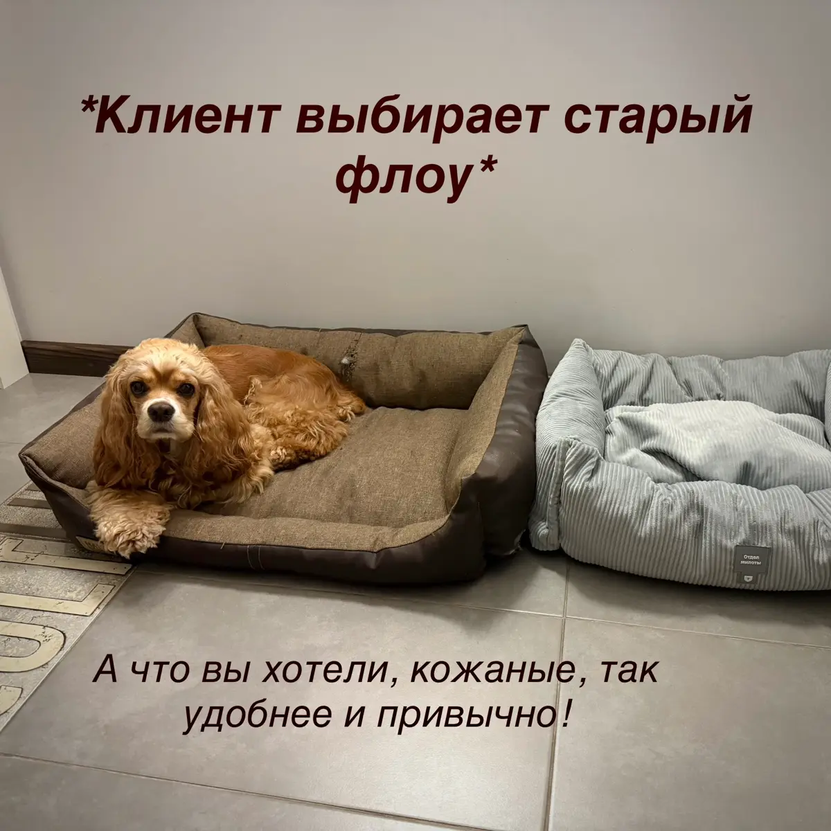 Признавайтесь, было? | Сетка — социальная сеть от hh.ru