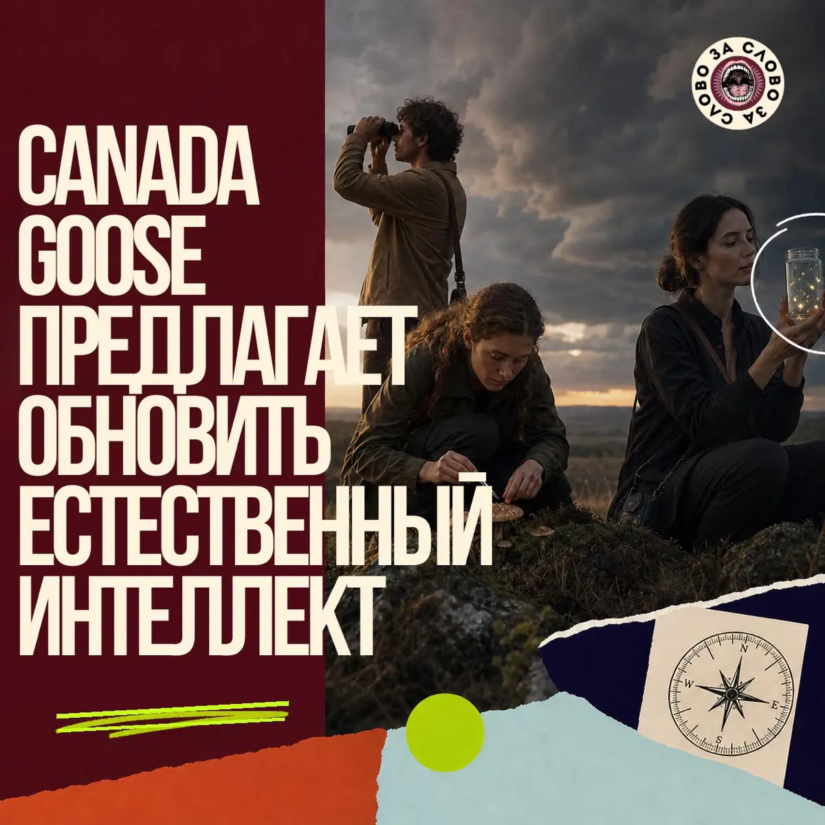 Canada Goose предлагает обновить естественный интеллект | Сетка — социальная сеть от hh.ru