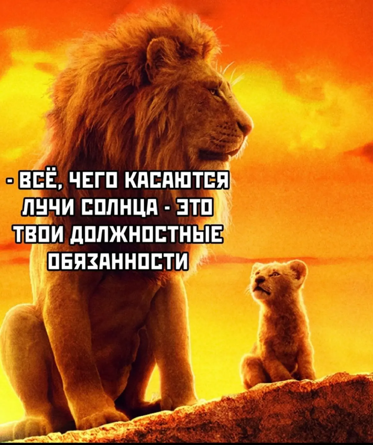 Как я стала лидом проекта,который вообще не должен быть моим | Сетка — социальная сеть от hh.ru
