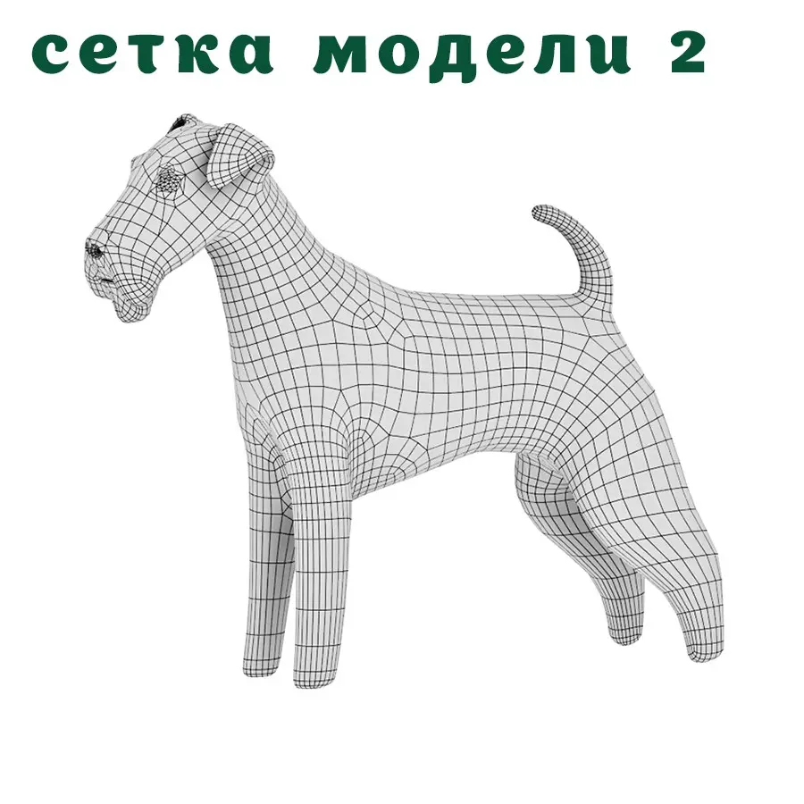 Невезуха с Эрделями | Сетка — социальная сеть от hh.ru