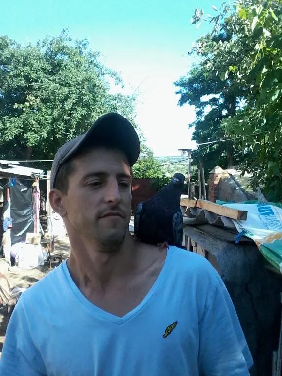 Александр Голиков