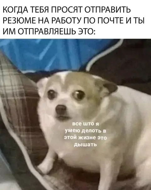 Уметь рассказывать о своём опыте — тоже навык | Сетка — социальная сеть от hh.ru