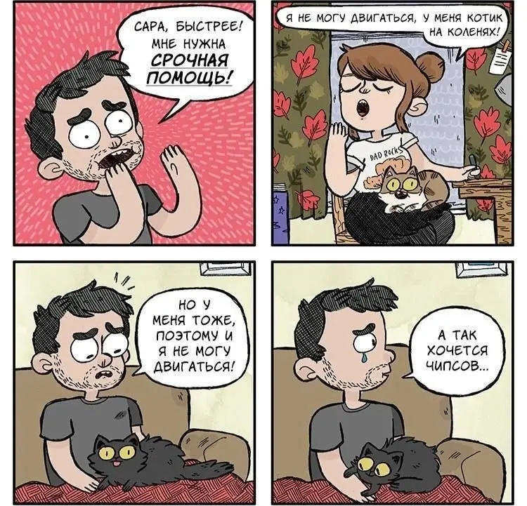 А что бы вы выбрали: котика или чипсы? 😂
БЛОГ В ТГ / БЛОГ В MAX
#Юмор #Коты
В этом посте были ссылки, но мы их удалили по правилам Сетки | Сетка — социальная сеть от hh.ru