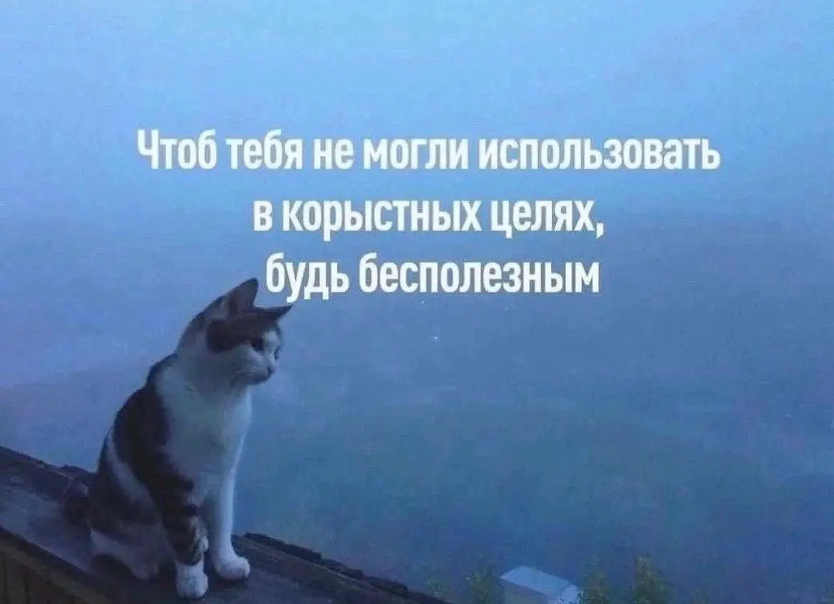 Продуктивного дня 🙂 | Сетка — социальная сеть от hh.ru