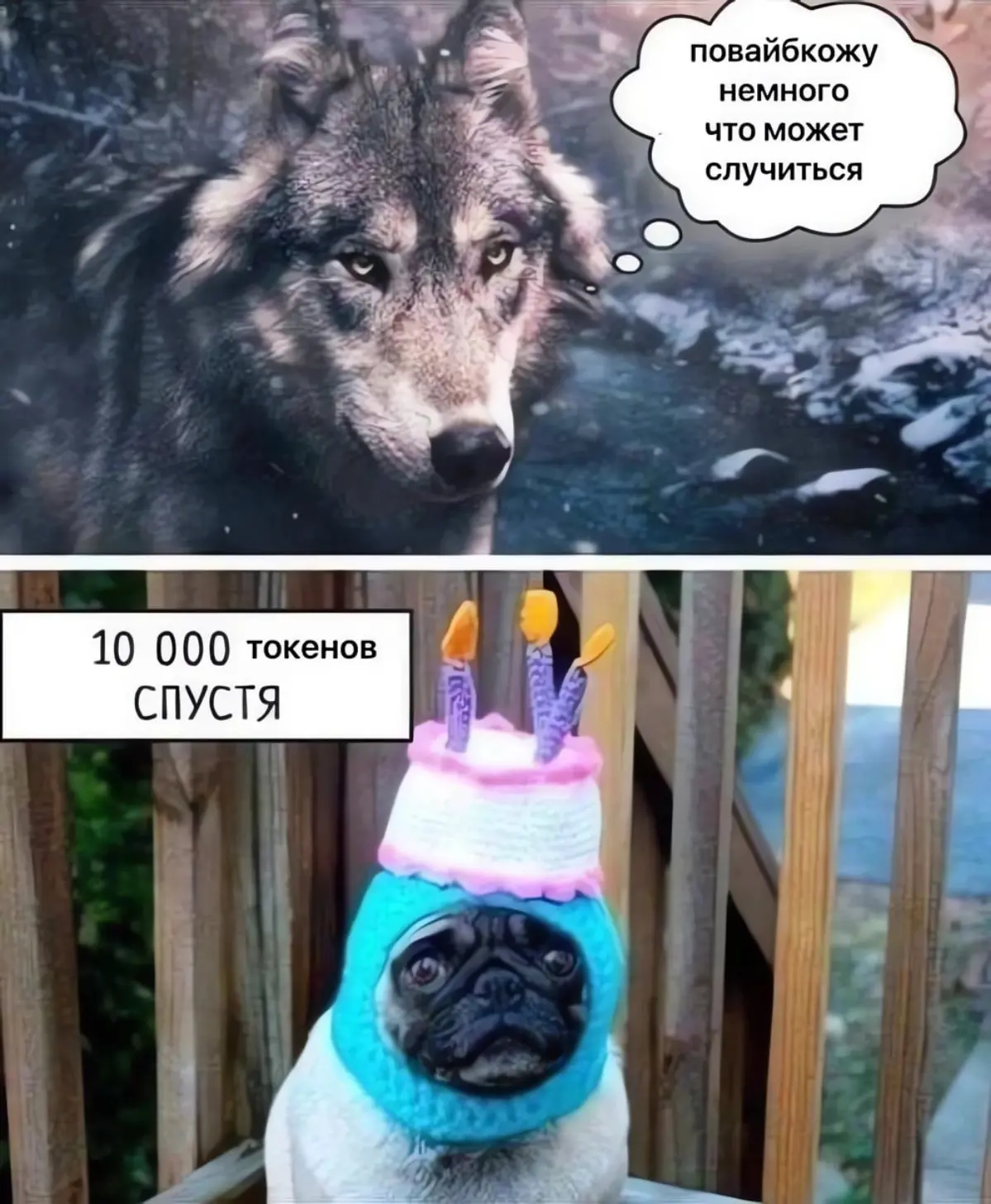 Как-то так | Сетка — социальная сеть от hh.ru