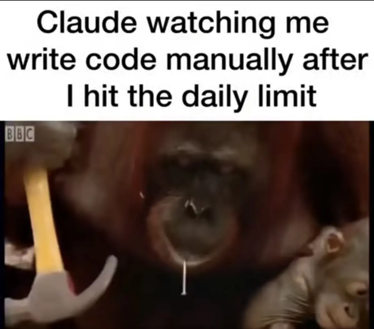 #ai #claude #vibecoding #nn | Сетка — социальная сеть от hh.ru