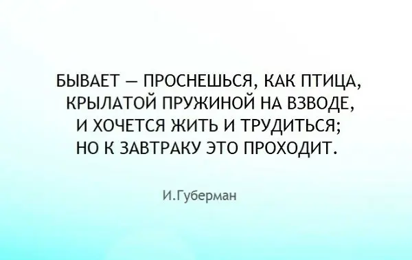 Всё по плану | Сетка — социальная сеть от hh.ru