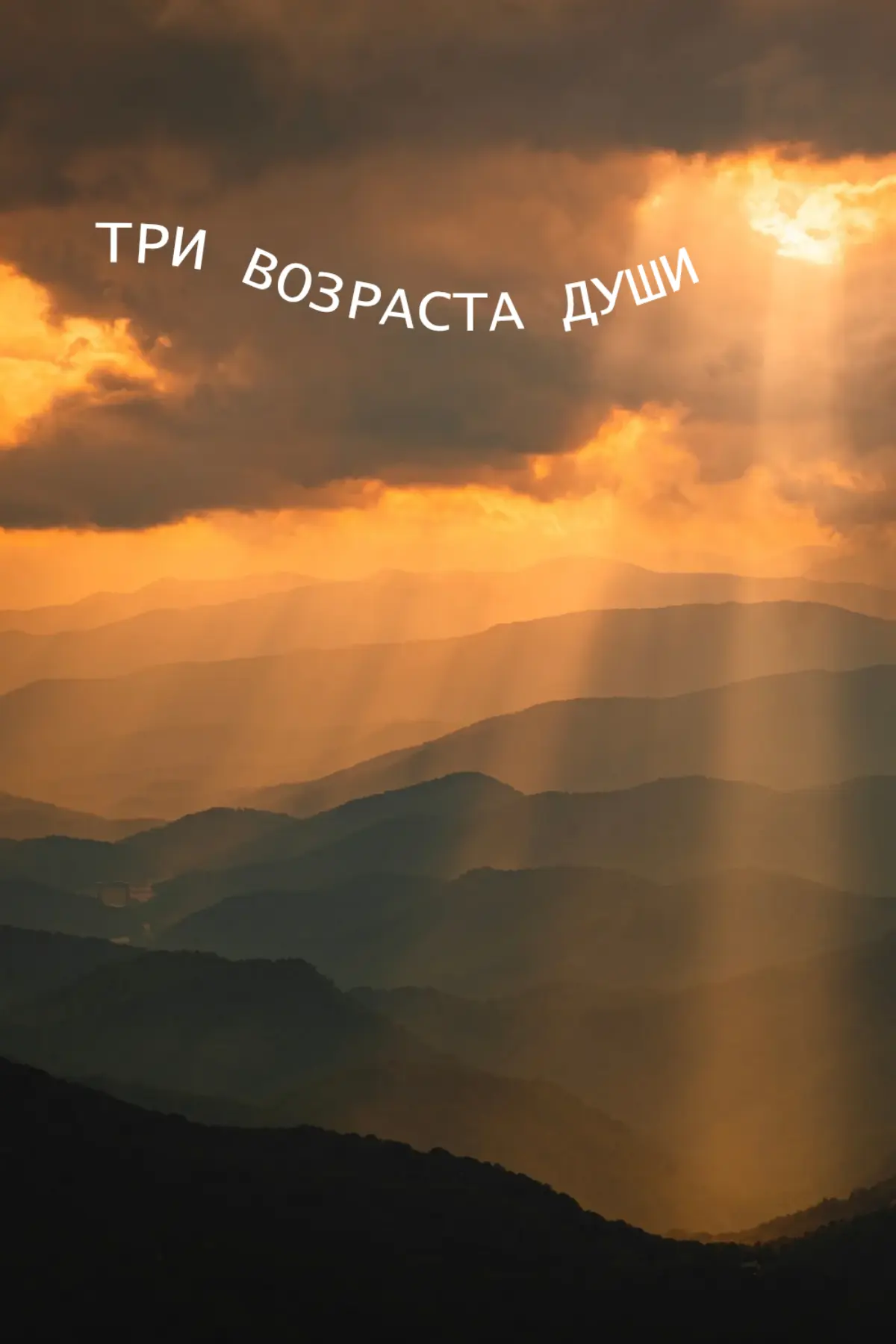 Душа 💛 | Сетка — социальная сеть от hh.ru