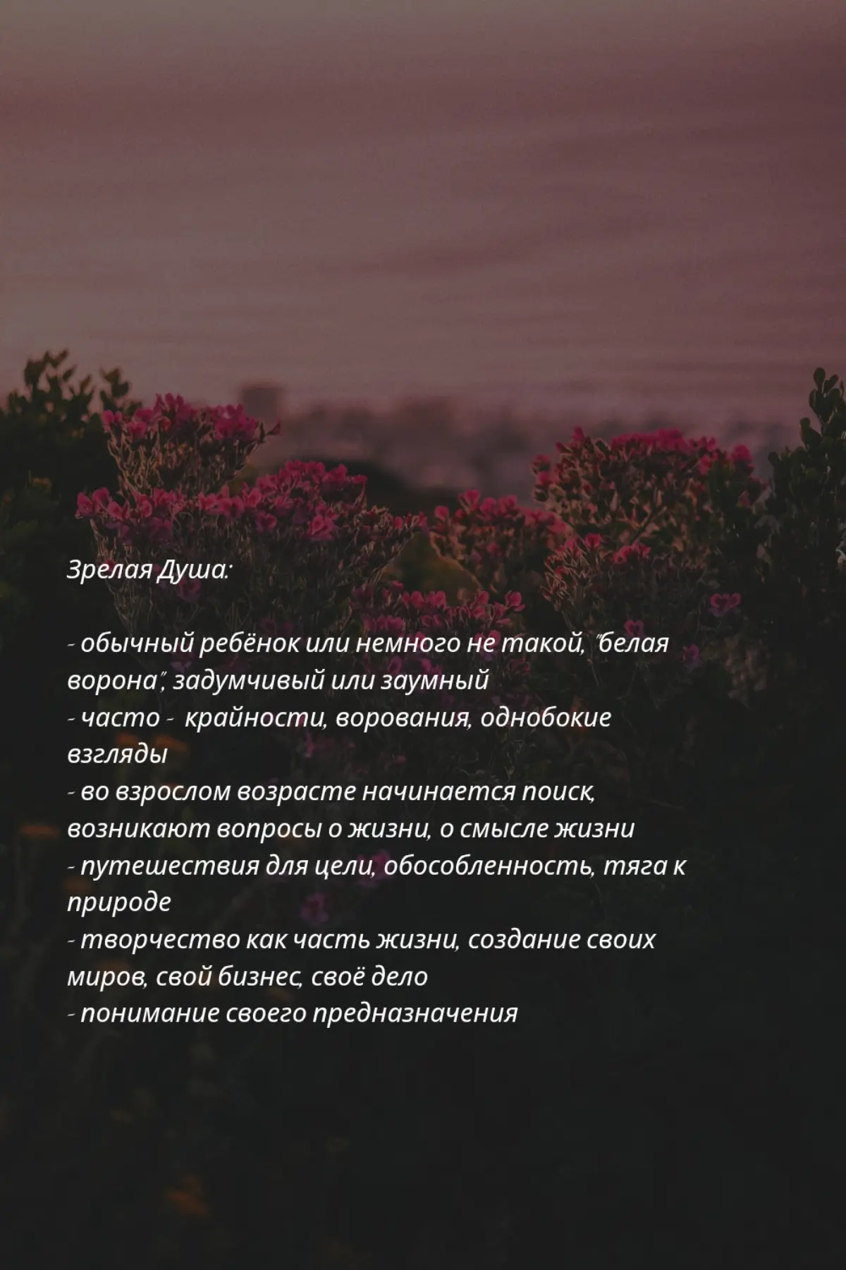 Душа 💛 | Сетка — социальная сеть от hh.ru