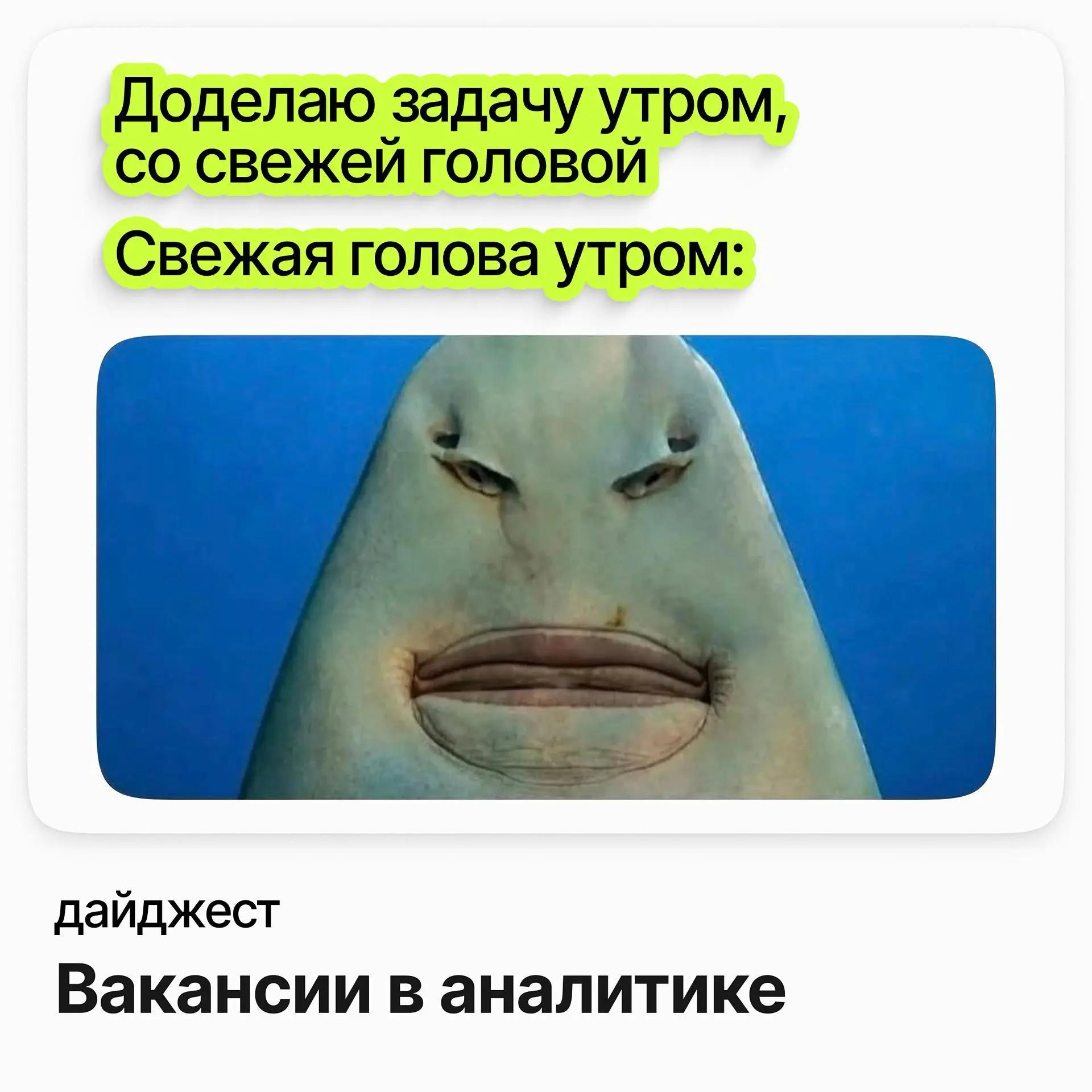 💼💼💼Вакансии в аналитике
Ведущий системный/бизнес-аналитик (ЭП и ЭДО) / РТЛабс
Зарплата: от 373 000 ₽ /на руки
Подробнее
Middle+/Senior ML Engineer (DLP) / Ростелеком-Солар (удалёнка)
Зарплата: от 353 ... | Сетка — социальная сеть от hh.ru
