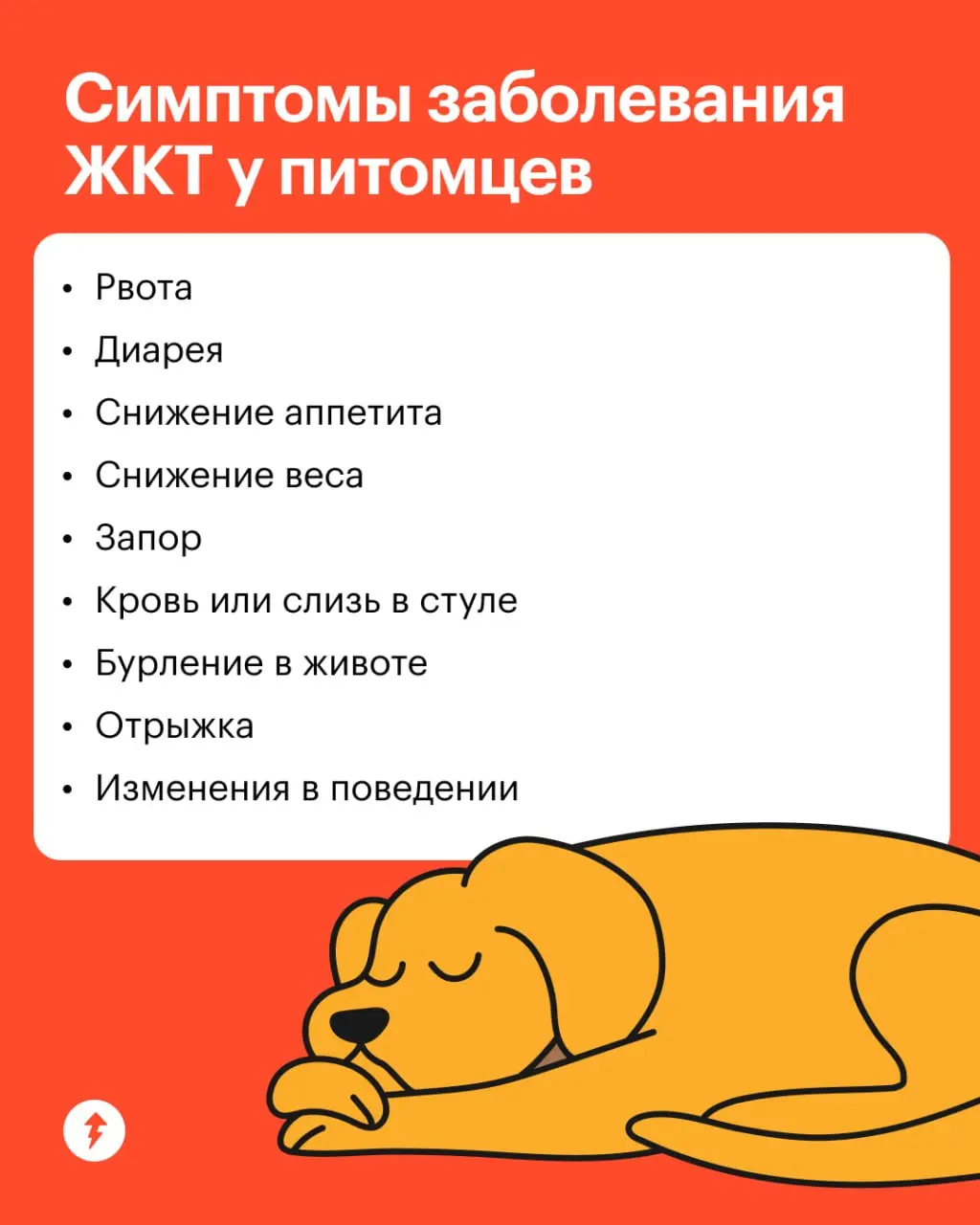 С первыми двумя симптомами в списке связано около 30% обращений к ветеринару | Сетка — социальная сеть от hh.ru