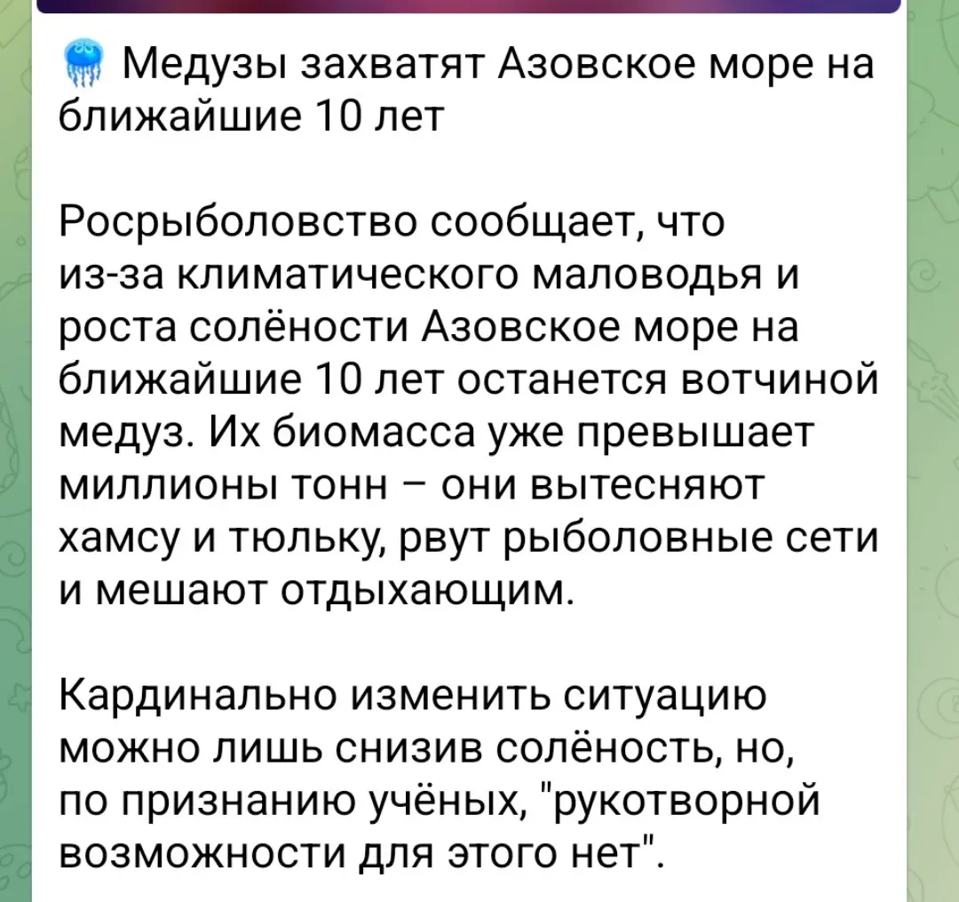 Нужно сделать Министерство медуз и желейных) | Сетка — социальная сеть от hh.ru