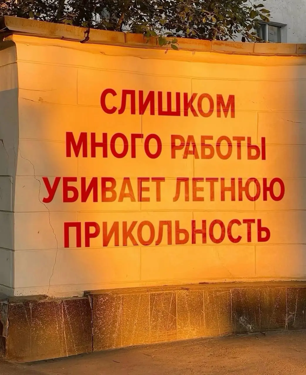 поэтому после работы ходите гулять и не сидите дома ✌🏻 | Сетка — социальная сеть от hh.ru