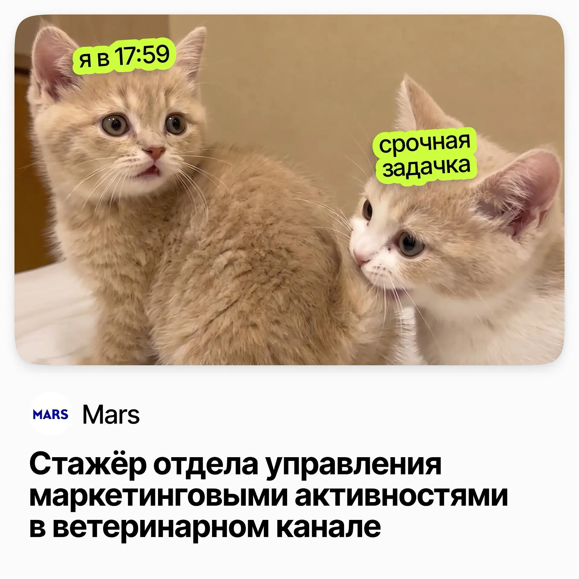 🐾 Стажер отдела управления маркетинговыми активностями в ветеринарном канале / Mars
Mars — современная FMCG-компания со всемирно известными брендами | Сетка — социальная сеть от hh.ru