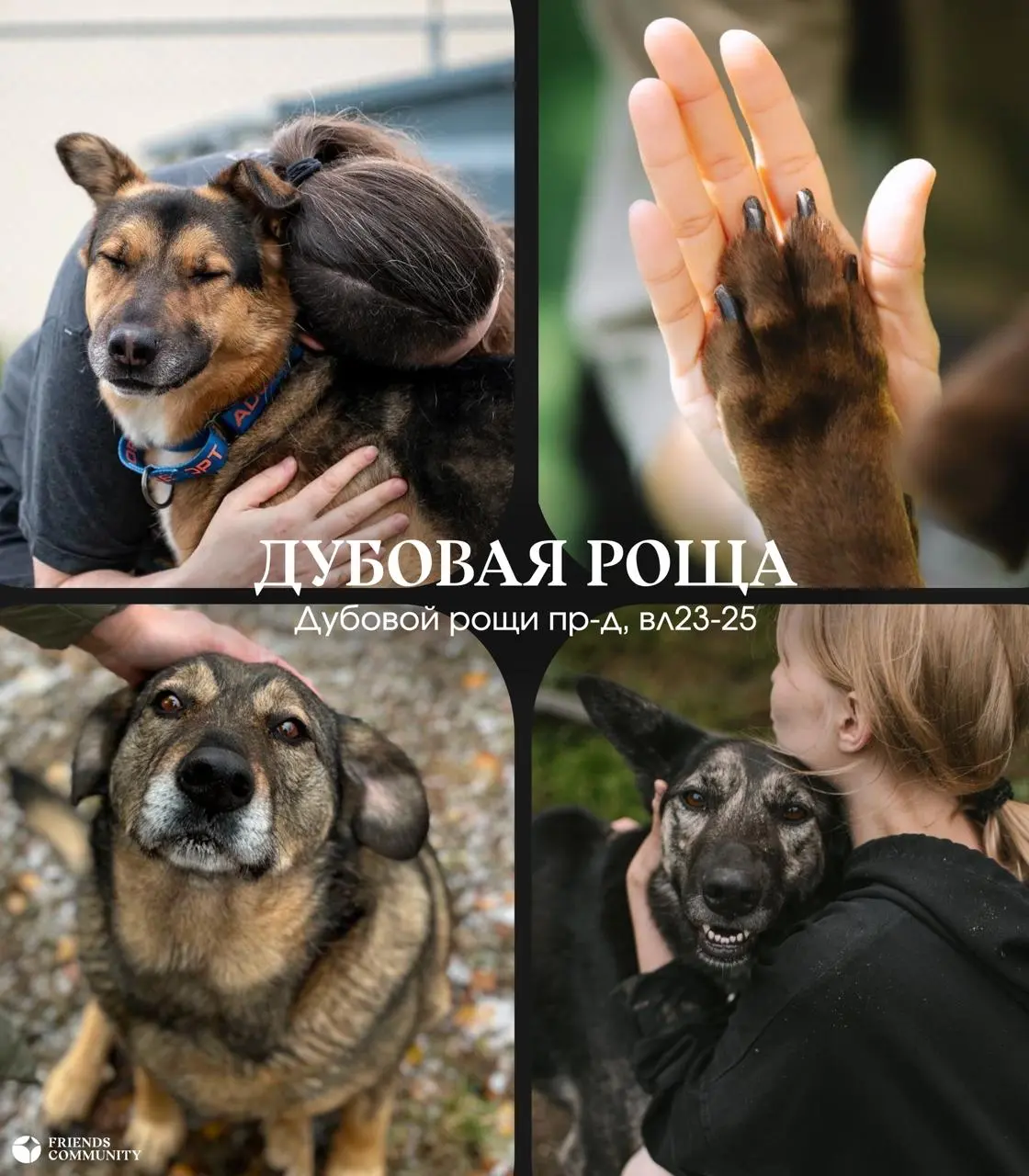 Ищешь, куда позвать парня, чтобы свидание точно не свелось к обычному ужину?
Тогда этот пост именно для тебя 👇
🐟 Золотой сазан – уехать в рыбацкую деревню, устроиться в беседке у воды и попытаться пой... | Сетка — социальная сеть от hh.ru