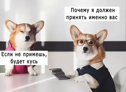 Расслабьтесь))) | Сетка — социальная сеть от hh.ru