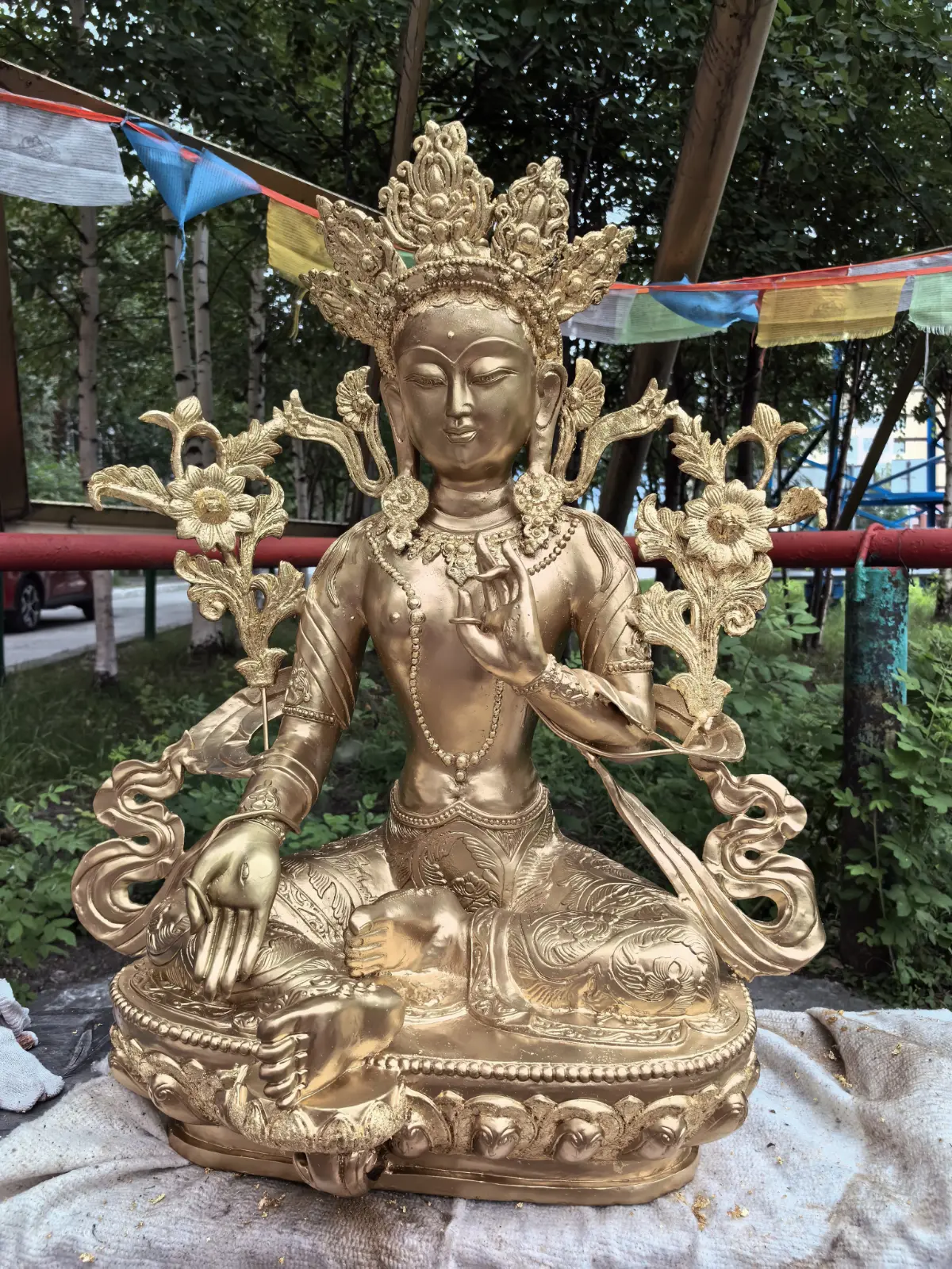 comment image