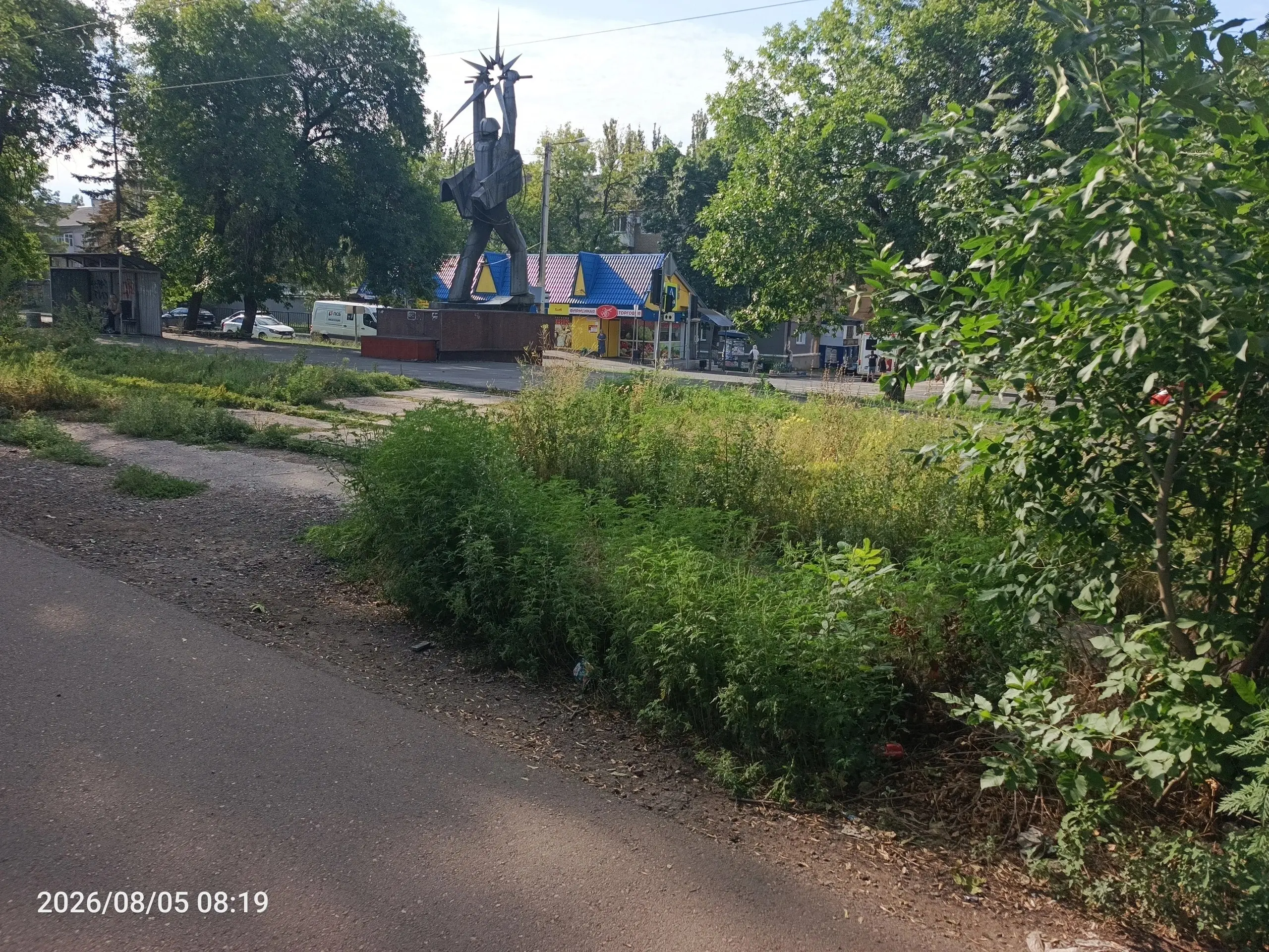 Куда смотрят коммунальщики, которые убирают остановки муниципального транспорта? Метровая Амброзия возле остановки. Остановка Южэлектросетьстрой, в Будённовском районе. | Сетка — социальная сеть от hh.ru