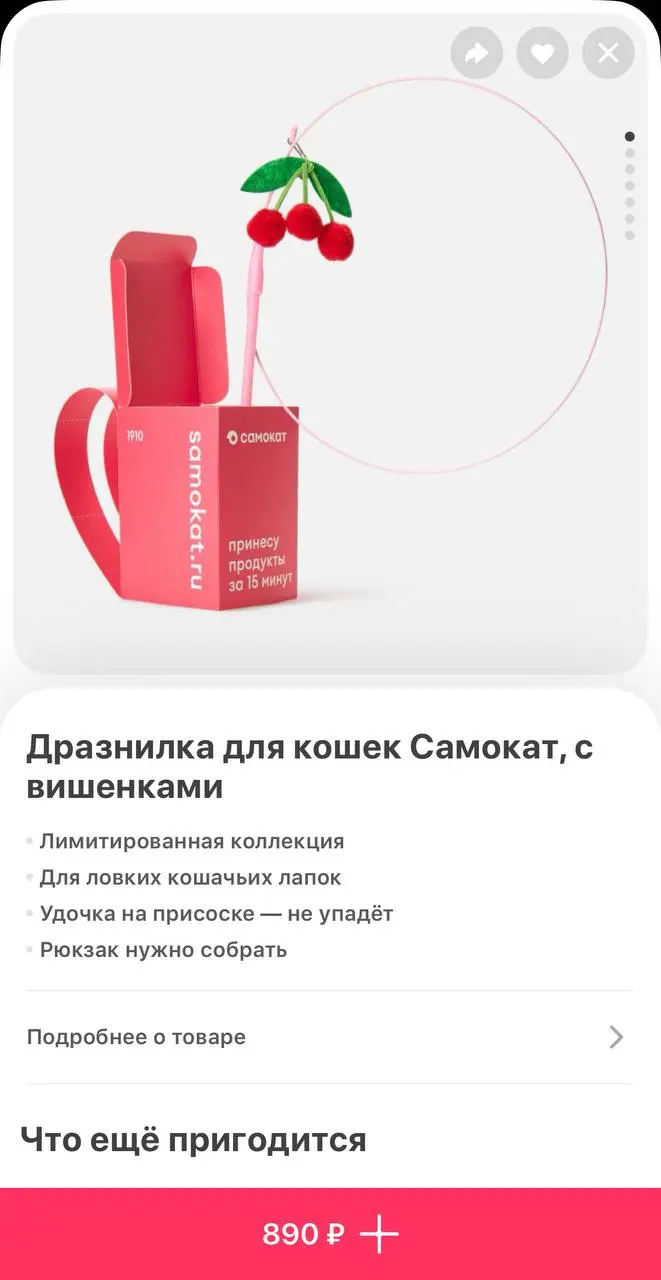 В Самокате появились игрушки для питомцев в виде настоящих продуктов | Сетка — социальная сеть от hh.ru