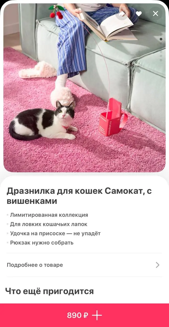 В Самокате появились игрушки для питомцев в виде настоящих продуктов | Сетка — социальная сеть от hh.ru