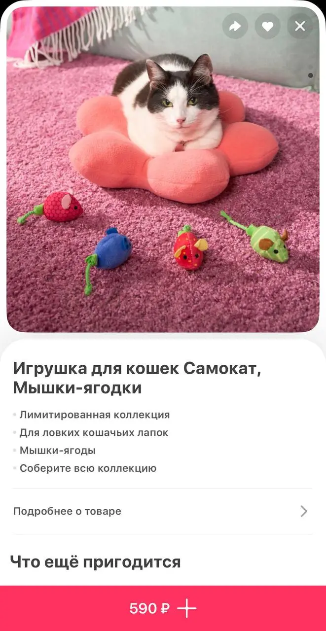 В Самокате появились игрушки для питомцев в виде настоящих продуктов | Сетка — социальная сеть от hh.ru