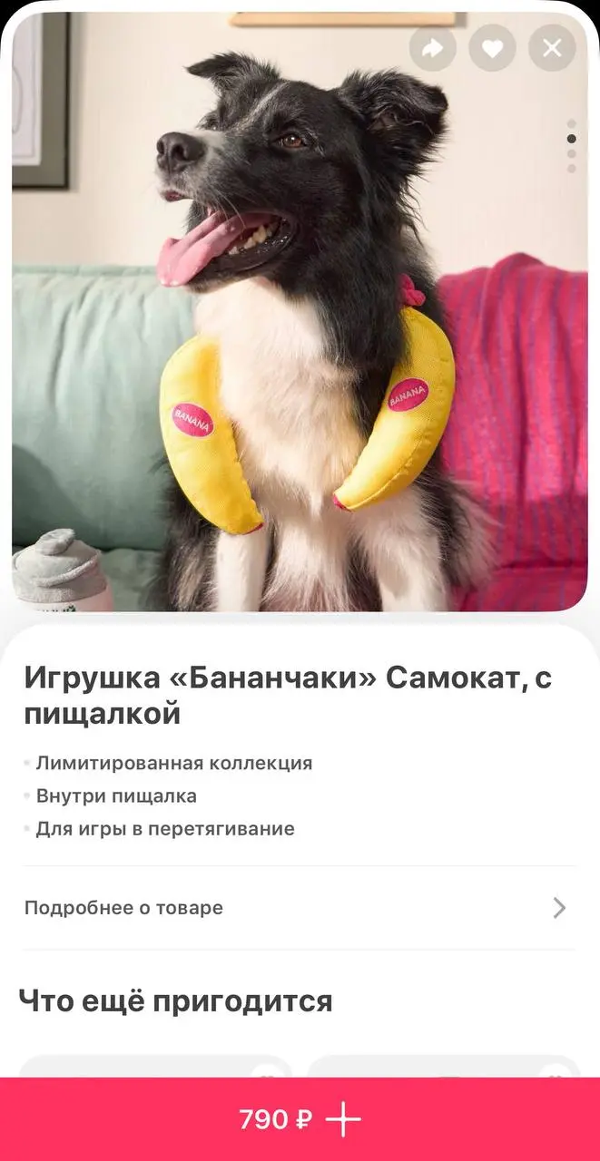 В Самокате появились игрушки для питомцев в виде настоящих продуктов | Сетка — социальная сеть от hh.ru