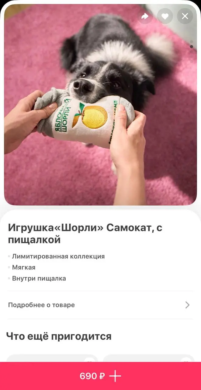 В Самокате появились игрушки для питомцев в виде настоящих продуктов | Сетка — социальная сеть от hh.ru