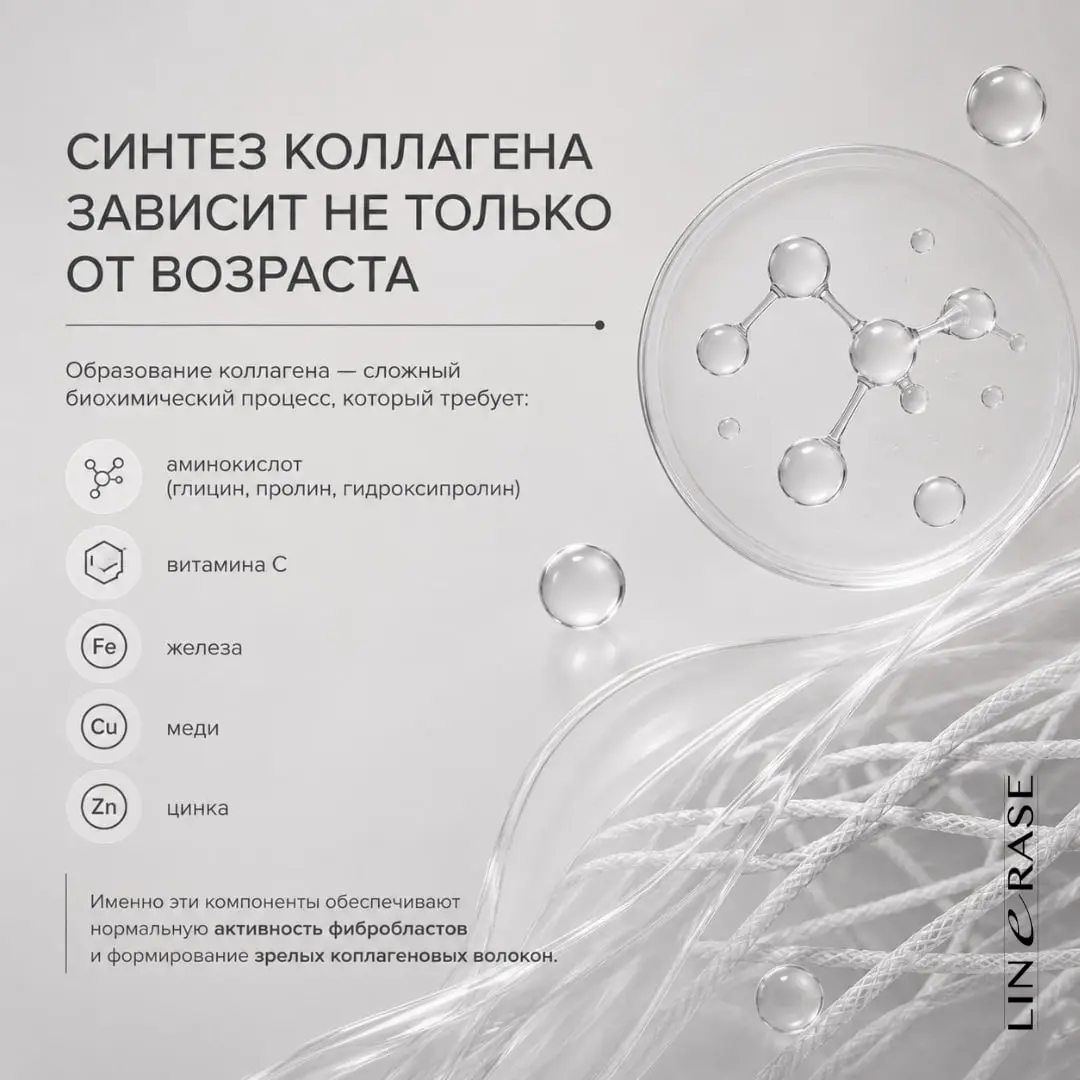Вегетарианство и коллагенотерапия: есть ли связь? 🌿💉
1. Инъекции работают независимо от диеты. Препарат вводится локально и напрямую активирует фибробласты.
2. Дефициты тормозят результат | Сетка — социальная сеть от hh.ru