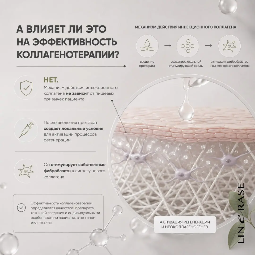 Вегетарианство и коллагенотерапия: есть ли связь? 🌿💉
1. Инъекции работают независимо от диеты. Препарат вводится локально и напрямую активирует фибробласты.
2. Дефициты тормозят результат | Сетка — социальная сеть от hh.ru