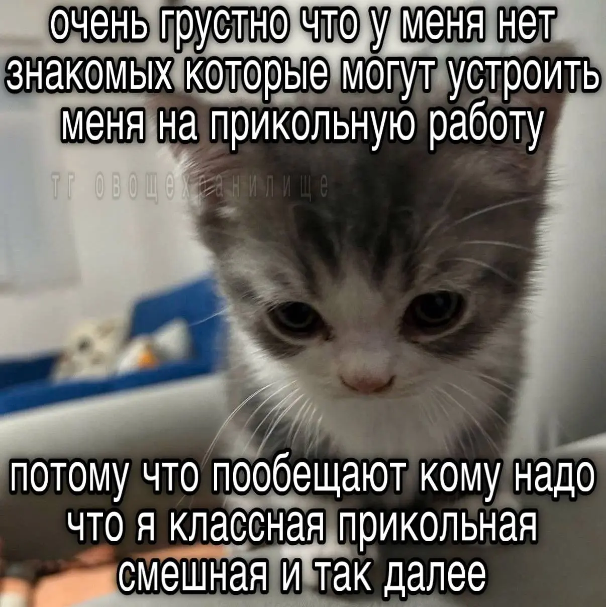 Давайте найдём мне таких людей!! | Сетка — социальная сеть от hh.ru