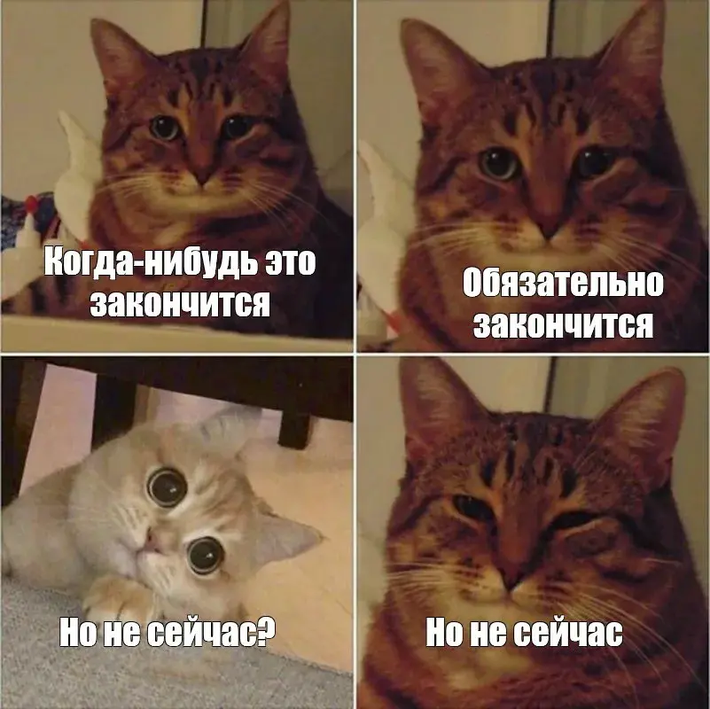 Натянуть сову на глобус или как проходят собеседования | Сетка — социальная сеть от hh.ru