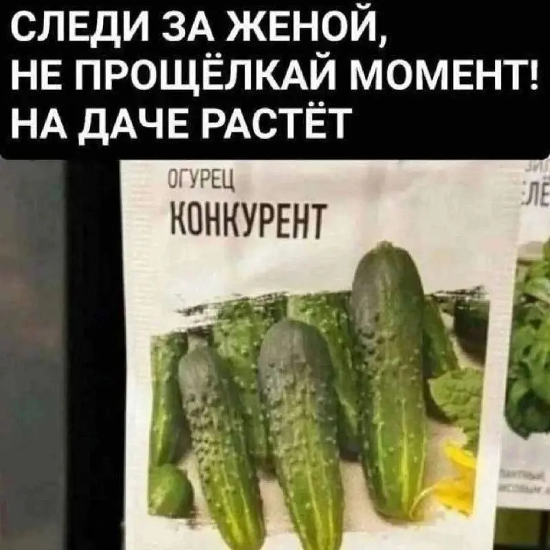 Конкурент не дремлет | Сетка — социальная сеть от hh.ru
