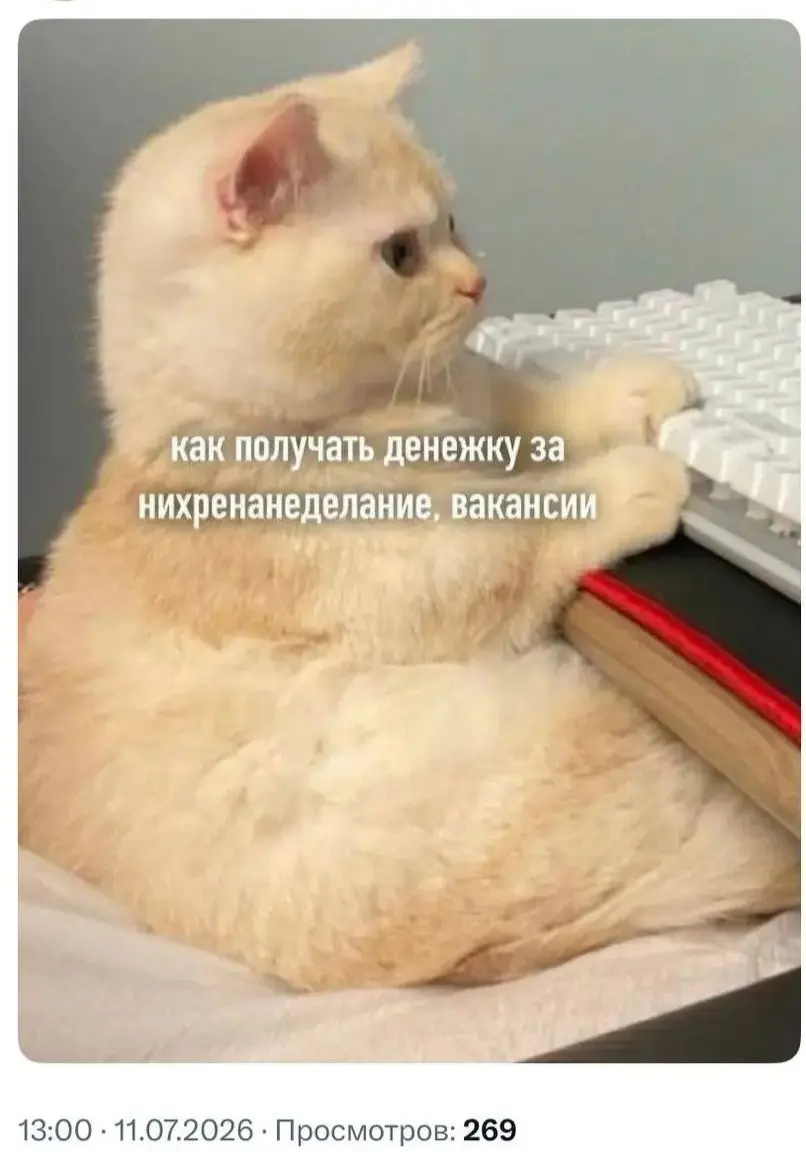 Очень нужный фильтр 😂
БЛОГ В ТГ / БЛОГ В MAX
#Юмор #Коты
В этом посте были ссылки, но мы их удалили по правилам Сетки | Сетка — социальная сеть от hh.ru