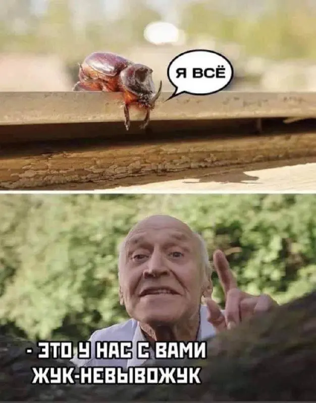 И я все 🐝
Кто еще «все»? | Сетка — социальная сеть от hh.ru