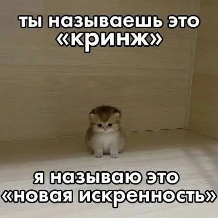 #cats | Сетка — социальная сеть от hh.ru