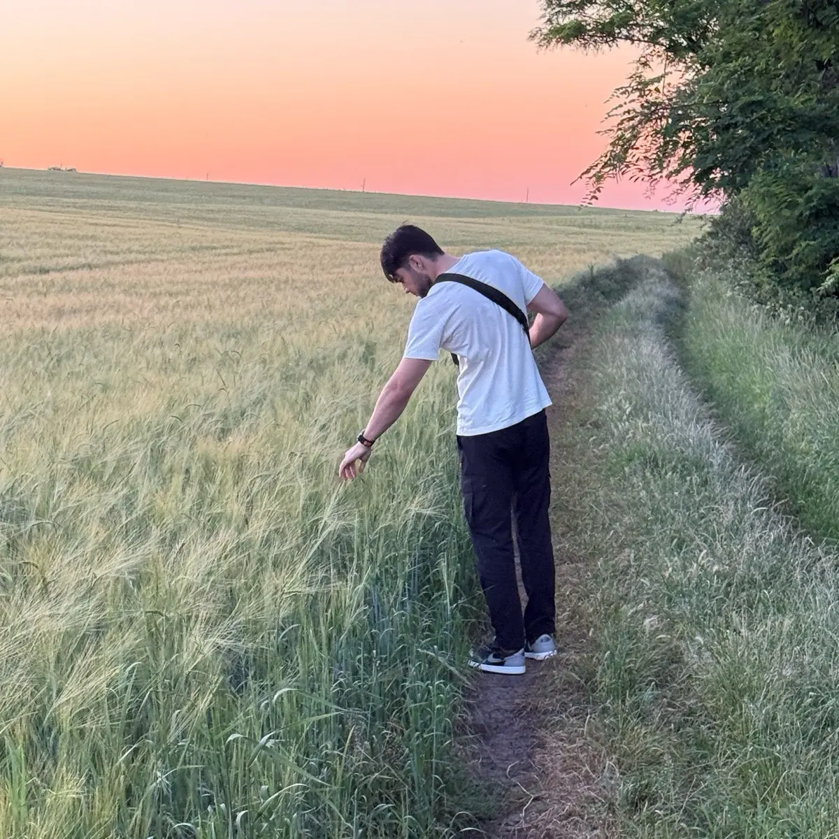 амир нашев