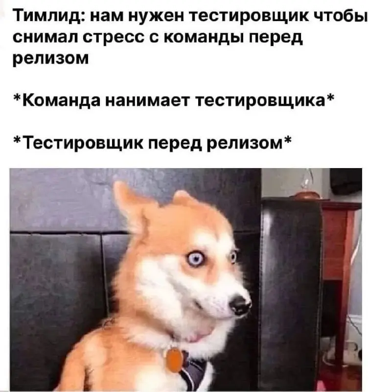 Тут говорят правду о работе (через мемы). Подписывайся 🔥 | Сетка — социальная сеть от hh.ru