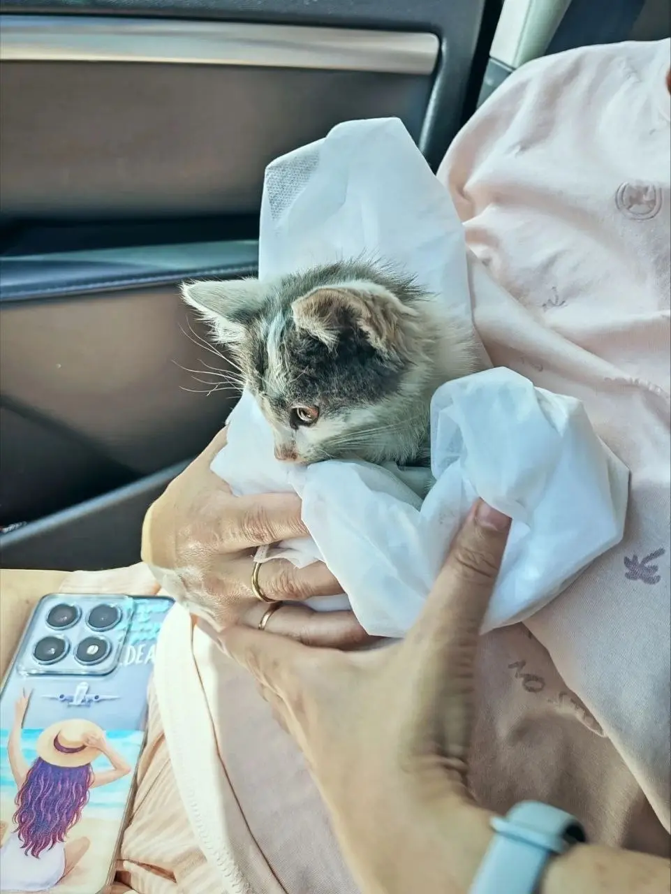 Кто читает меня уже какое то время, то знает, что у нас 5 котиков:

Макс, Лиза, Сандрик, Алекс, Зевс (не считая 2 собак))))

Было  5 котиков 😂😂😂😂😂
Месяц назад стало 6 🙈🙈🙈
Как всегда, это была целая ис... | Сетка — социальная сеть от hh.ru